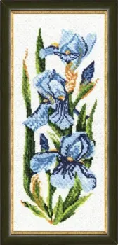 Золотое руно Ирисы ЦК-003