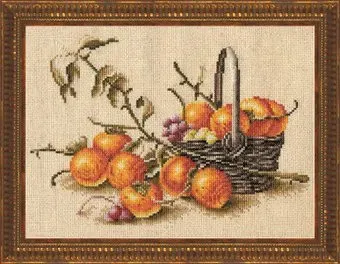 Золотое руно Хурма ФИ-002