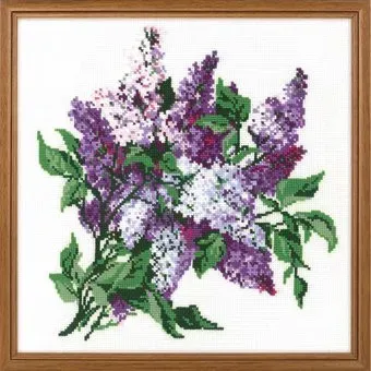 Риолис Сирень 242