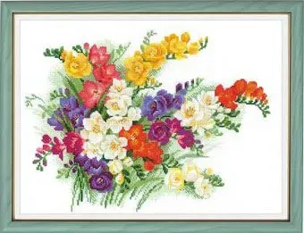 Риолис Фрезии 1561