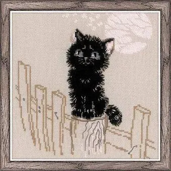 Риолис Мечтатель 1546