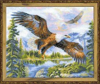 Риолис Свободный полет 1471