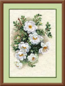 Риолис Белый шиповник 1351