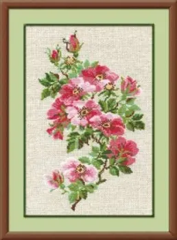 Риолис Шиповник 809