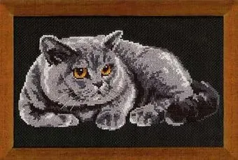 Риолис Британец 848