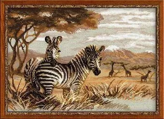 Риолис Зебры в саванне 1143