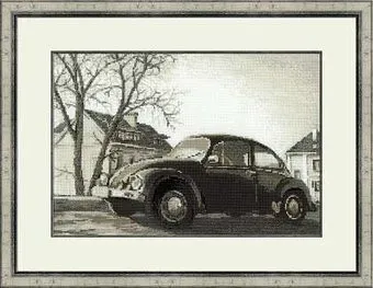 Риолис Старая фотография. Жук 1177