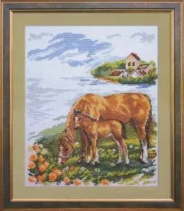 Алиса Лошадки 1-03