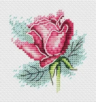Жар-Птица Роза