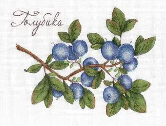 М.П.Студия Дары природы. Голубика