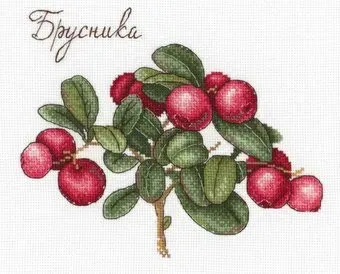 М.П.Студия Дары природы. Брусника