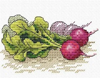 Жар-Птица Молодой редис