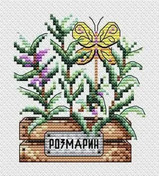 Жар-Птица Розмарин