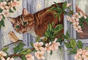М.П.Студия Случайная встреча