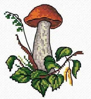 Жар-Птица Грибная пора