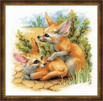 Риолис Фенеки № 1636
