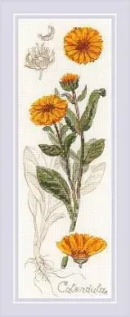 Риолис Календула № 1798