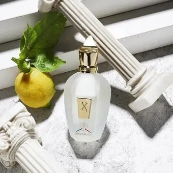 Xerjoff XJ 1861 Renaissance EdP (тестер, 100 мл)