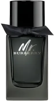 Burberry Mr. Burberry EdP (тестер, 100 мл)