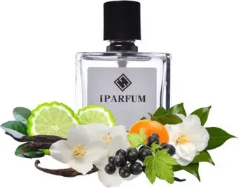 iParfum аналоговый парфюм W60 TOM FORD Black Orchid 100 мл