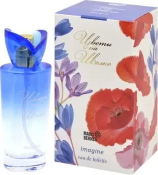 Positive Parfum Цветы на шелке Imagine EdT (50 мл)