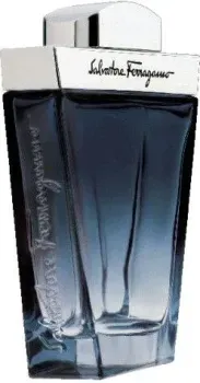 Salvatore Ferragamo Subtil EdT (100 мл)