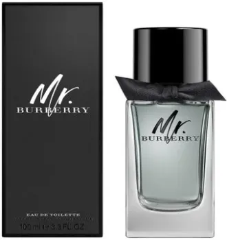 Burberry Mr. Burberry EdT (100 мл)