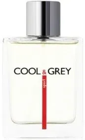 Dilis Parfum Cool&Grey Sport EdT 100 мл