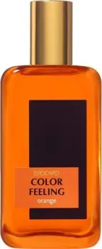 Brocard Color Feeling Orange EdT (100 мл)