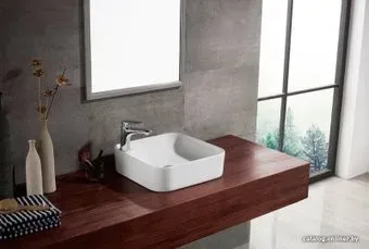 Bravat C22238W-1-ENG