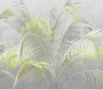 Citydecor Знойные тропики 9 300x260