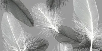 Citydecor Абстракция 390 300x150
