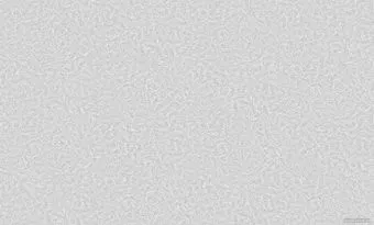 Белвинил Хлоя-фон 21 11СБ2