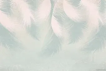 Vimala Перья 22 270x400