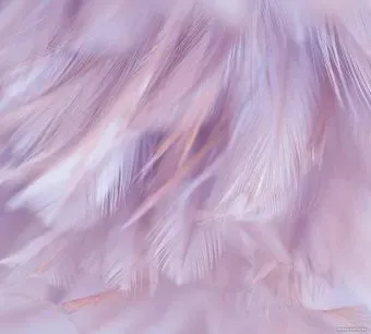 Vimala Перья 1 270x300