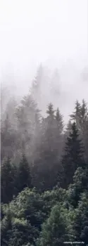 ФабрикаФресок Туманный лес 191280 (100x280)