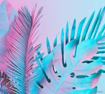 Vimala Неоновые листья 270x300