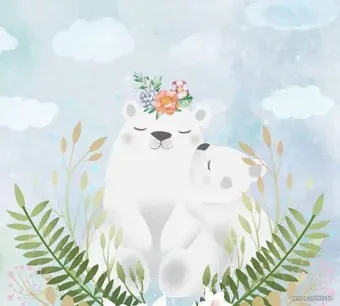 Vimala Белые медведи 270x300