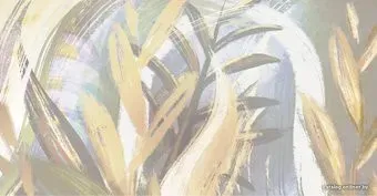 Citydecor Sunset 5 с защитным покрытием 500x260