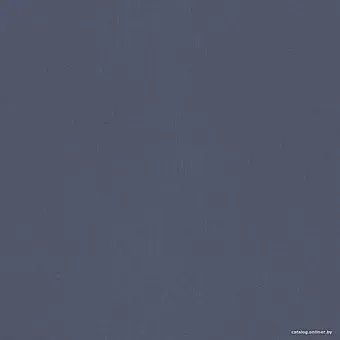 Rasch Poetry db 960723