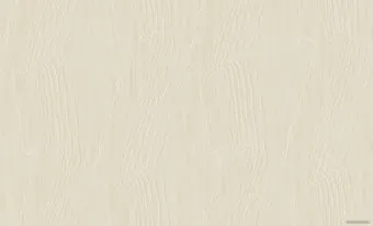 Erismann Olympia 60208-02