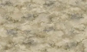 Erismann Naomi 60402-05