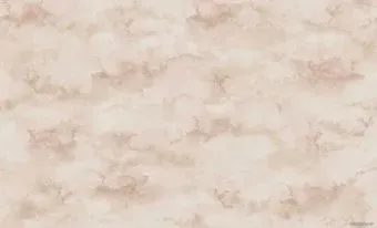 Erismann Naomi 60402-04