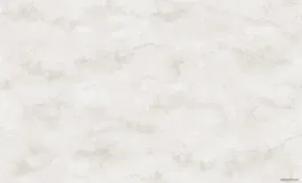 Erismann Naomi 60402-03