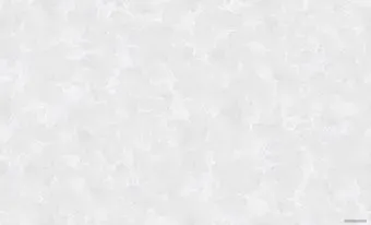 Erismann Lina 60479-03
