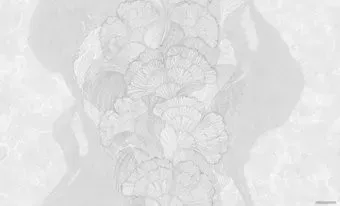 Erismann Lina 60468-03