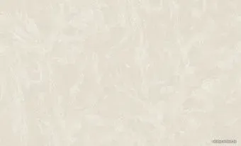 Erismann Shtorm 60223-04
