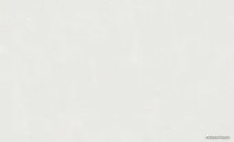 Erismann Shtorm 60223-02