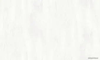 Erismann Agat 60538-01