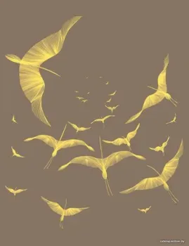 Citydecor Perfect Lines 12 200x260